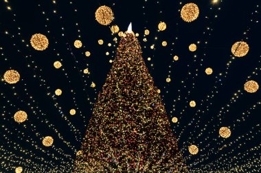 Bir sürü ışığı olan büyük bir Noel ağacı..