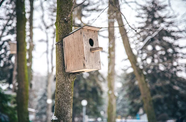 Houten voederhuisje voor vogels in het bos aan een boom. — Stockfoto