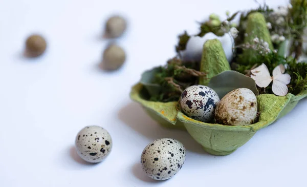 Close-up, quail eggs in a tray, Easter holiday concept. — Stock Photo, Image