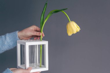 Kadınların elinde olağandışı minimalist çiçek vazosu.