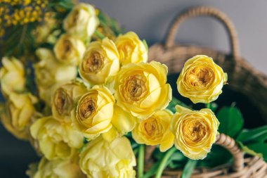 Sarı bahar çiçeklerini sepete koy..