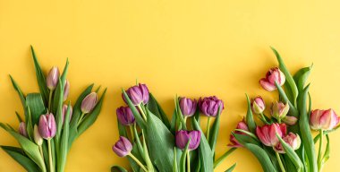 Düz bir zemin, renkli bir zemin üzerinde laleler.