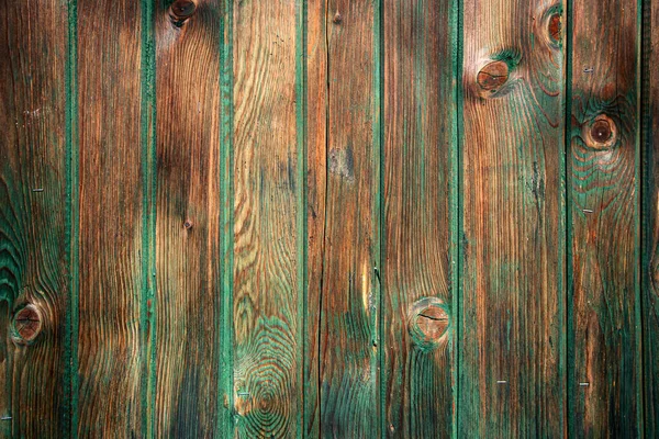Дерево текстуры с зеленым цветом, естественный фон. — стоковое фото