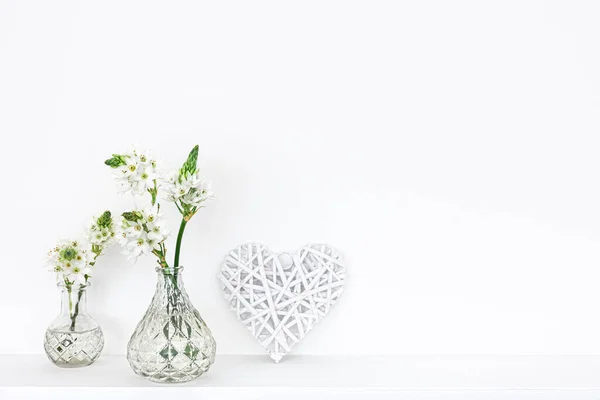 Flores de primavera en jarrones de vidrio aislados sobre fondo blanco. — Foto de Stock
