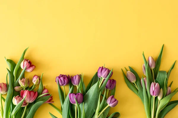 Puesta plana, tulipanes sobre un fondo de color. — Foto de Stock