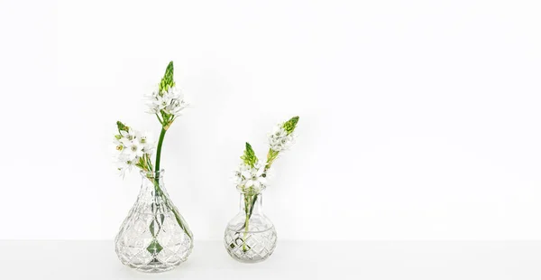 Flores de primavera en jarrones de vidrio aislados sobre fondo blanco. — Foto de Stock