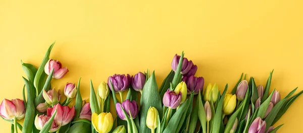 Ploché Květinové Jarní Složení Tulipány Žlutém Pozadí — Stock fotografie