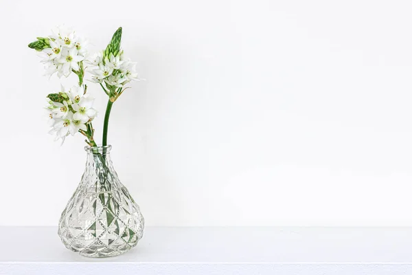 Flores Primavera Jarrones Vidrio Sobre Fondo Blanco Aislado Minimalismo Espacio — Foto de Stock