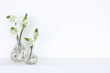 Beyaz arka planda izole edilmiş cam vazolarda bahar çiçekleri.