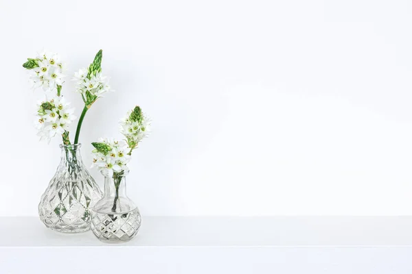 Flores de primavera en jarrones de vidrio aislados sobre fondo blanco. — Foto de Stock