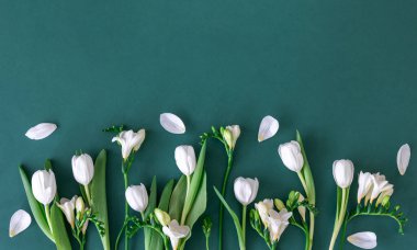 Koyu mavi arka planda beyaz egzotik çiçekler..