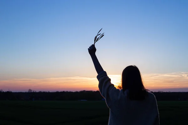 Silhouette of a woman at sunset in a field against the sky, rear view. — Stock Photo, Image