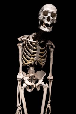 Siyah arka plan üzerine izole bir adam iskelet.