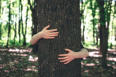 Ormanda bir ağaca sarılan kadınların elleri, doğaya duyulan sevgi kavramı..