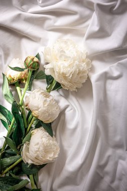 Kapatın, beyaz bahar çiçekleri yatakta şakayıklar, bahar arka planı düz yatıyordu..