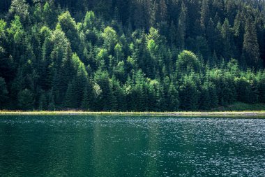Doğal arka plan, dağlardaki çam ormanı ve göl..
