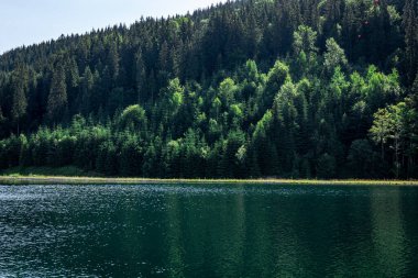 Doğal arka plan, dağlardaki çam ormanı ve göl..