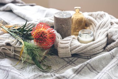 Cozy home composition with a flower, candles and a knitted element in a bed in pastel colors.
