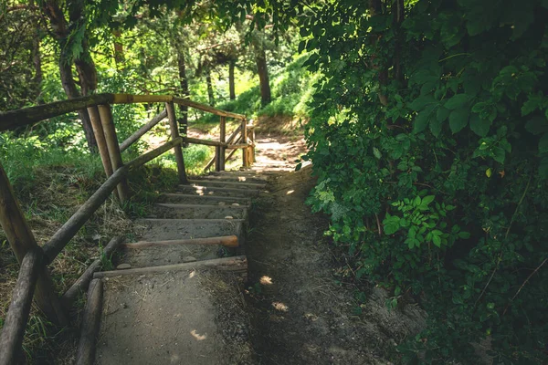 Vintage Wooden Steps Made Logs Forest Natural Background — 图库照片