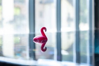 Close-up, rubber flamingo toy in the pool on a blurred background.