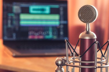 A professional microphone on a blurred background of a laptop with a program for working with sound.