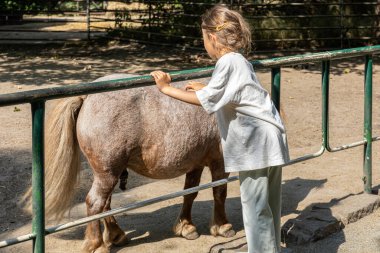Küçük kız hayvanat bahçesinde eşek okşuyor..