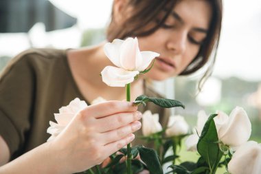 Close-up, a bouquet of delicate white roses in the hands of a female florist.