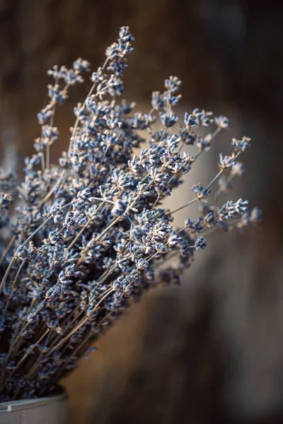 Lavender flowers. Dried lavender background. Plant good for aromatherapy, spa, essential oil.