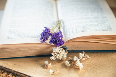 Açık bir kitap üzerinde renkli kurumuş çiçekler, yakın plan, okuma ve çalışma konsepti.