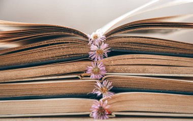 Eski kitap ve çiçekleri aç üst üste, yakın plan, çalış ve oku konsepti.