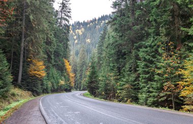 Dağlık bir bölgede dolambaçlı bir yol kozalaklı bir ormanda, sonbaharın başlarında doğa..