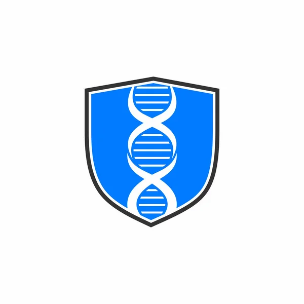 Logo Bouclier Adn Logo Sécurité Génétique — Image vectorielle