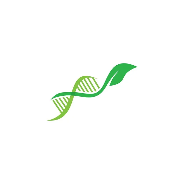 Logo Dna Nature Logo Feuille Génétique — Image vectorielle