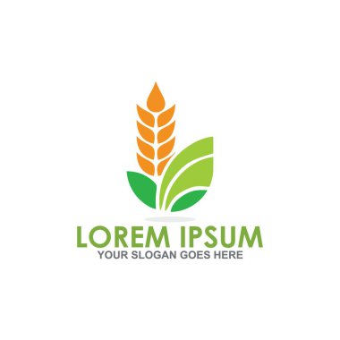 tahıl vektörü, tarım logo vektörü