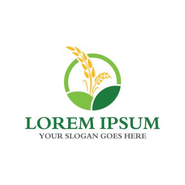 tahıl logosu, doğa logosu vektörü