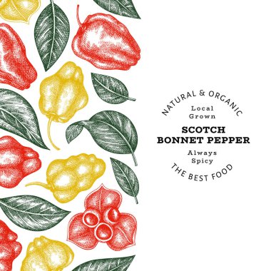 Elle çizilmiş taslak stili İskoç şapkası biber afişi. Organik taze sebze vektör çizimi. Retro cayenne biber tasarım şablonu