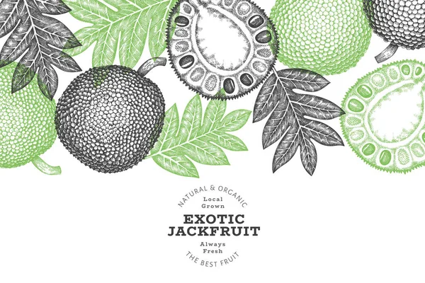 Ręcznie Rysowany Szkic Stylu Jackfruit Banner Organiczny Świeży Wektor Owoców — Wektor stockowy