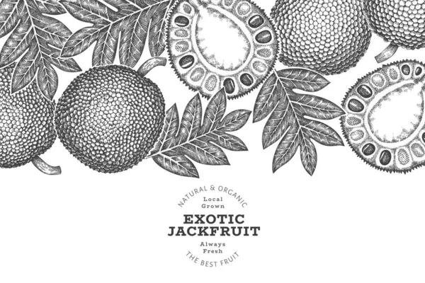 Handgezeichnetes Jackfruchtbanner Skizzenstil Illustration Des Organischen Vektors Frischer Früchte Retro — Stockvektor