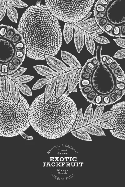 Handgetekende Schets Stijl Jackfruit Banner Biologische Vers Fruit Vector Illustratie — Stockvector