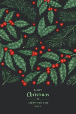 Noel el çizimi vektör tebrik kartı tasarımı şablonu. Klasik botanik çizimi. Kış bitkileri Xmas bayrağı.