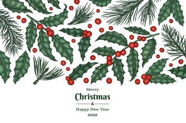 Noel el çizimi vektör tebrik kartı tasarımı şablonu. Klasik botanik çizimi. Kış bitkileri Xmas bayrağı.