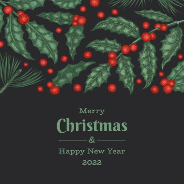 Noel el çizimi vektör tebrik kartı tasarımı şablonu. Klasik botanik çizimi. Kış bitkileri Xmas bayrağı.