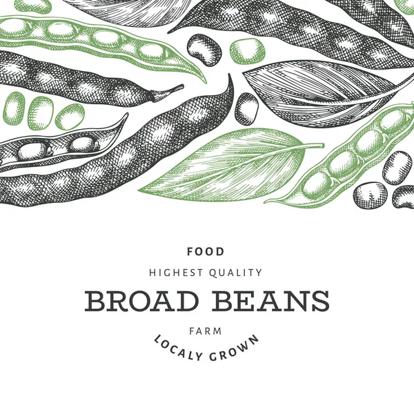 Plantilla Diseño Dibujada Mano Ilustración Orgánica Vectores Alimentos Frescos Ejemplo — Archivo Imágenes Vectoriales
