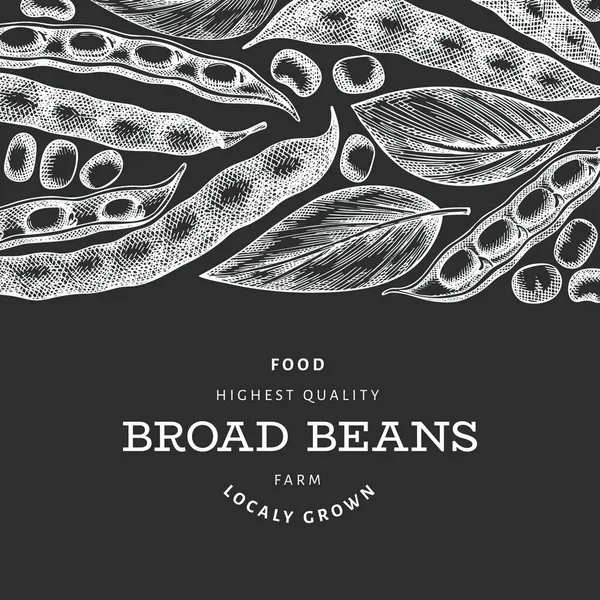 Hand Drawn Broad Beans Design Template Organic Fresh Food Vector — Stock Vector