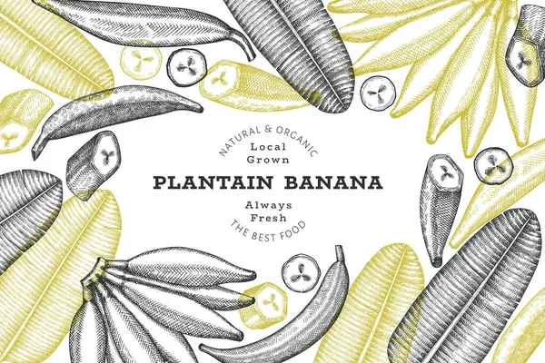 Banner Banana Banana Estilo Desenho Mão Ilustração Orgânica Vetor Frutas — Vetor de Stock