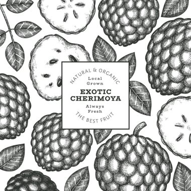 El yapımı çizim stili Cherimoya afişi. Organik taze meyve vektörü çizimi. İşlenmiş stil botanik tasarım şablonu.