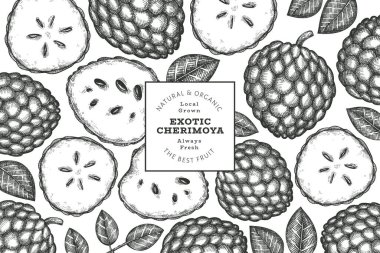 El yapımı çizim stili Cherimoya afişi. Organik taze meyve vektörü çizimi. İşlenmiş stil botanik tasarım şablonu.