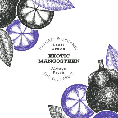 El çizimi mangosteen tasarım şablonu. Beyaz arka planda organik taze gıda vektör çizimi. Retro meyve pankartı.