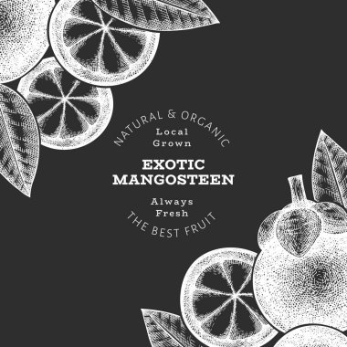 El çizimi mangosteen tasarım şablonu. Tebeşir tahtasında organik taze gıda vektör çizimi. Retro meyve pankartı.