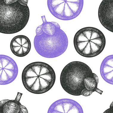 El çizimi taslak, mangoseronlu, pürüzsüz desen. Organik taze gıda vektör çizimi. Retro meyve arkaplanı.
